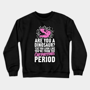 CURVACEOUS PERIOD Crewneck Sweatshirt